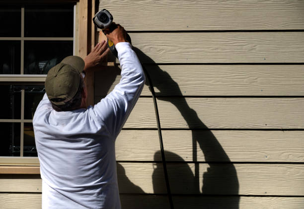 Best Aluminum Siding Installation  in Linden, AZ