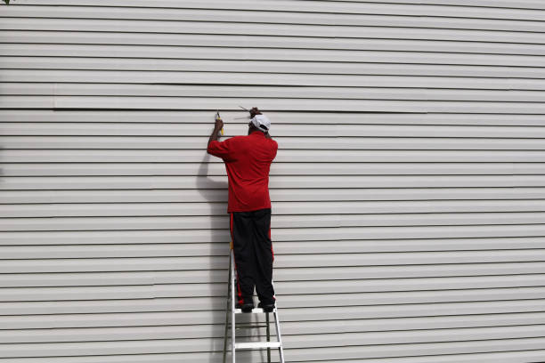 Best Vinyl Siding Installation  in Linden, AZ