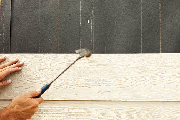 Best Fiber Cement Siding Installation  in Linden, AZ